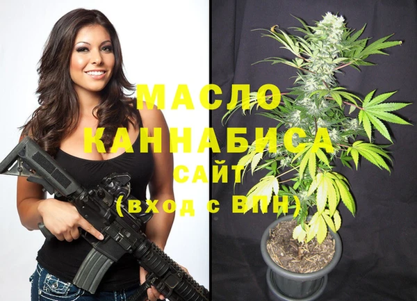 твердый Зеленодольск