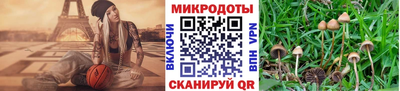 Псилоцибиновые грибы мицелий  Купить закладки  Людиново 